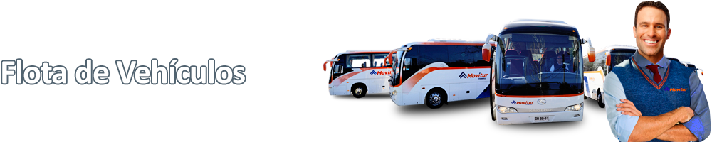 Flota de Vehículos Movitur
