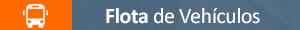 Flota de Vehículos