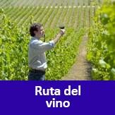 van ruta del vino chile, viajes especiales